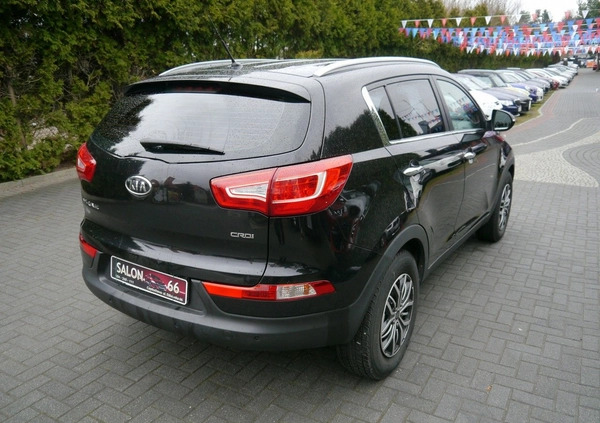 Kia Sportage cena 42900 przebieg: 148677, rok produkcji 2012 z Czaplinek małe 596